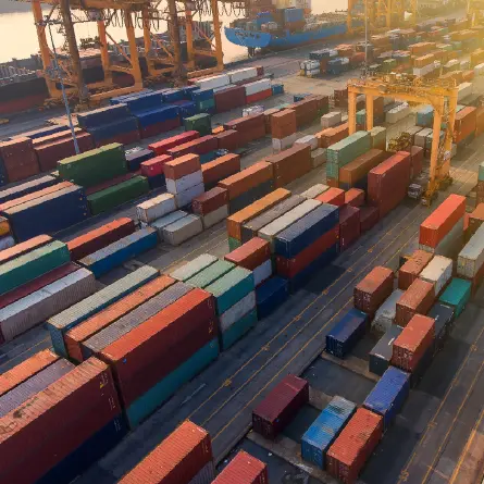🚢 Transport international